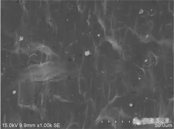 圖10 斷面B1區形貌