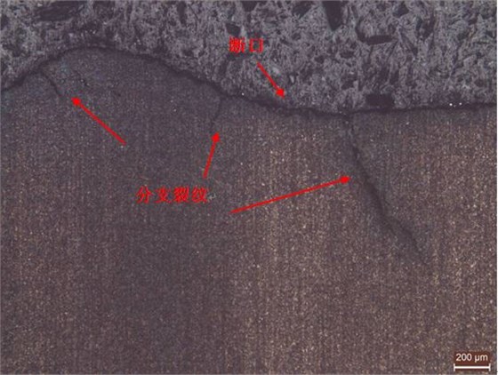斷裂擴展區縱截面金相組織 斷裂擴展區縱截面金相組織