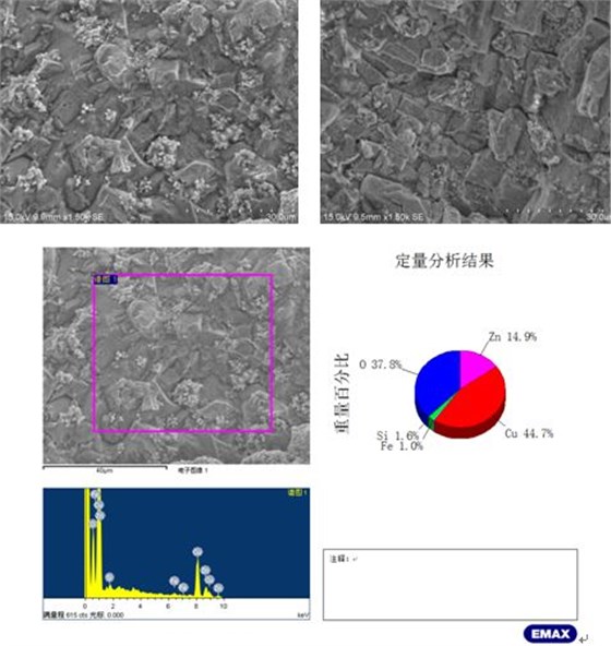 斷口金相情況觀察 斷口金相情況觀察