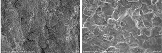 圖13-12 月牙狀區域微觀形貌圖13-13 晶界表面腐蝕跡象