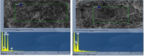 圖13-16月牙狀區域斷面成分截圖 圖13-17 非月牙狀區域斷面成分截圖