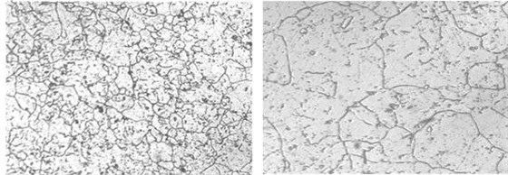 圖5-19 GH3030螺栓固溶時效金相組織