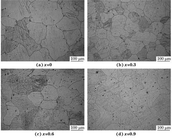 圖4 均勻化處理態MgG5ZnG1MnGxSn合金的顯微組織 圖4 均勻化處理態MgG5ZnG1MnGxSn合金的顯微組織