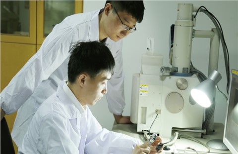 失效分析 失效分析