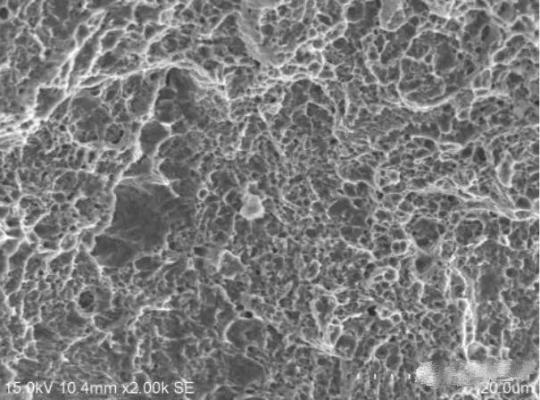 圖16 斷面D區(qū)微觀(guān)形貌