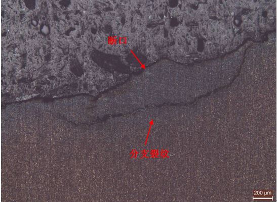 斷裂擴(kuò)展區(qū)縱截面金相組織1 斷裂擴(kuò)展區(qū)縱截面金相組織1