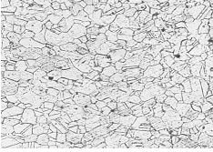 GH4169螺栓固溶時效金相組織 100&times;