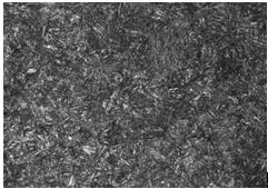 35CrMo螺栓心部回火索氏體組織500&times;