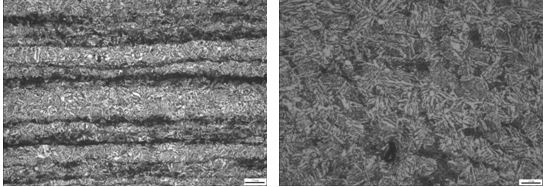 螺栓偏析組織 200× 螺栓疏松組織 500× 螺栓偏析組織 200× 螺栓疏松組織 500×