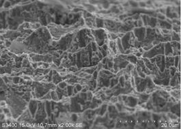 圖14-7 C區微觀形貌 圖14-7 C區微觀形貌