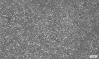 圖13-85心部金相組織 圖13-85心部金相組織