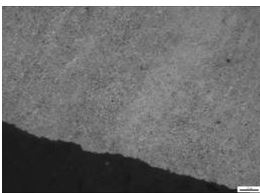 圖15-5 回火索氏體 圖15-5 回火索氏體