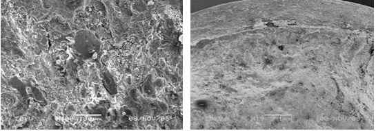 圖13-116 斷口心部微觀形貌 圖13-117 斷口邊沿微觀形貌，