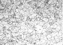 圖5-9 1Cr18Ni9Ti螺栓固溶處理金相組織 200&times;