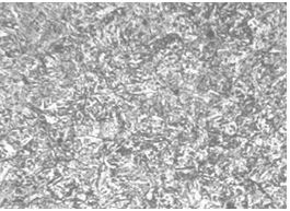 圖5.10 3Cr13螺栓調(diào)質(zhì)金相組織200&times;