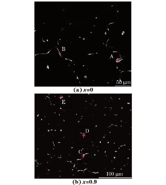 圖3 鑄態MgG5ZnG1MnGxSn合金的背散射電子像 圖3 鑄態MgG5ZnG1MnGxSn合金的背散射電子像