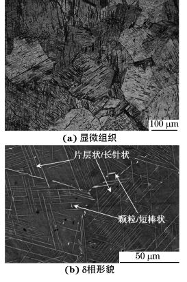 圖１ 經DP處理后GH４１６９合金的顯微組織和δ相形貌