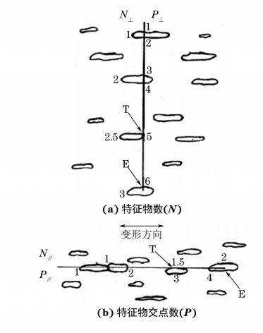 圖２ 顯微組織的特征物數(N)和特征物交點數(P)計算示意圖