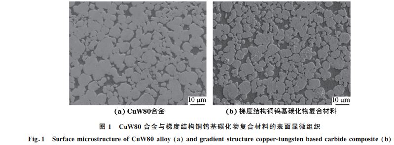 圖１ CuW８０合金與梯度結構銅鎢基碳化物復合材料的表面顯微組織